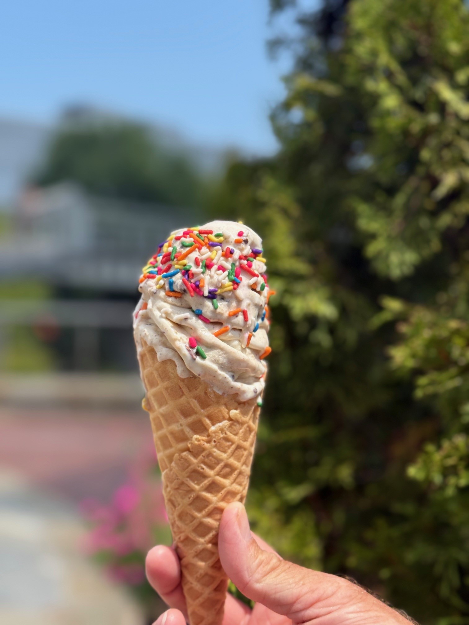 TheIceCreamshow-4